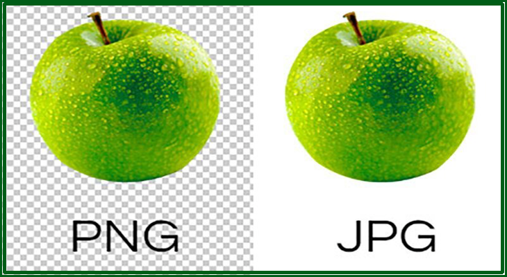 Comparison of PNG & JPG formats, highlighting background transparency & image quality differences