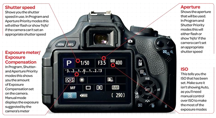 Learn key camera settings to enhance your product photography for clear, & appealing shots.